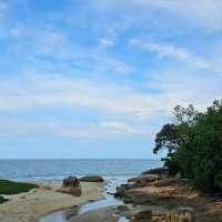Discover Pantai Kerachut: A Hidden Gem in Penang National Park