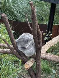 Amazing time in the zoo