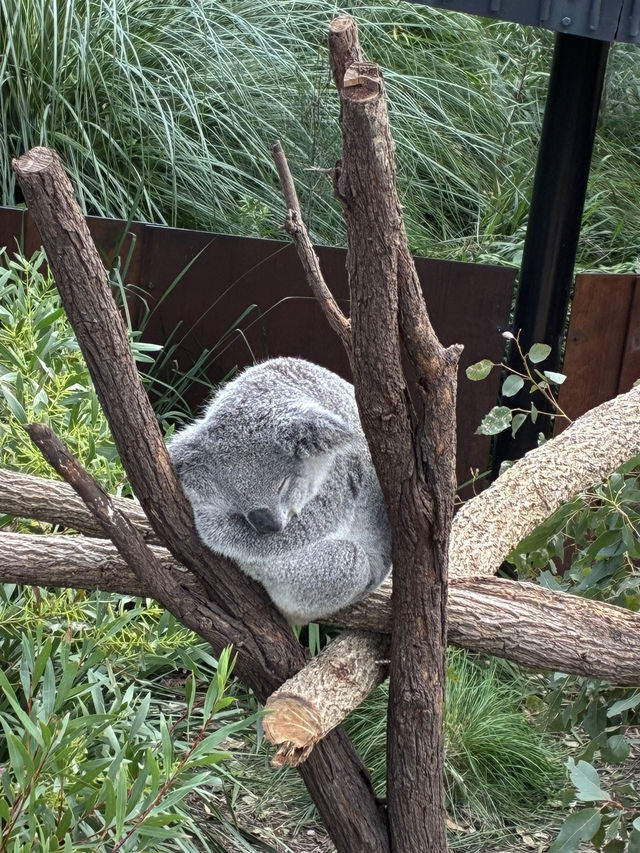 Amazing time in the zoo