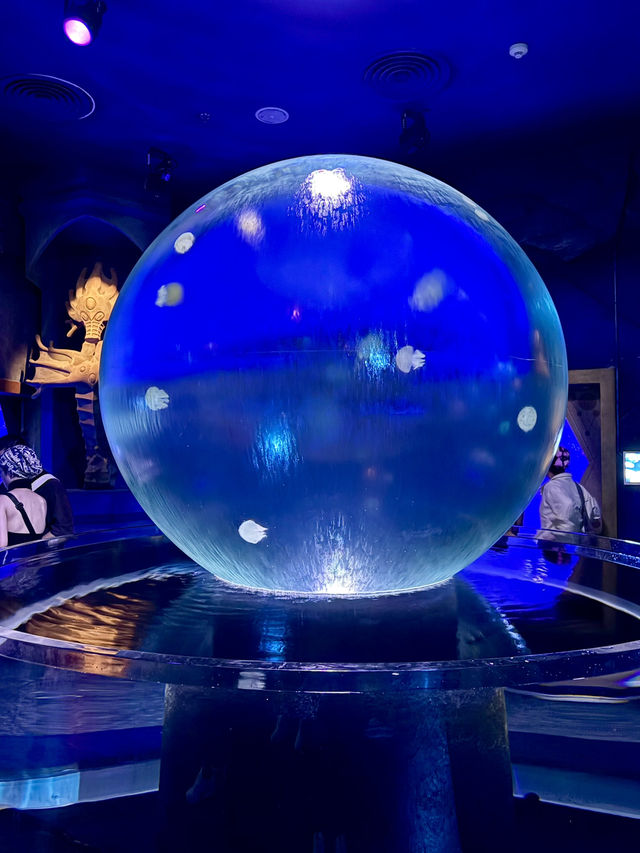 The Sea Shell-越南最大的水族館，吸睛巨型海龜造型