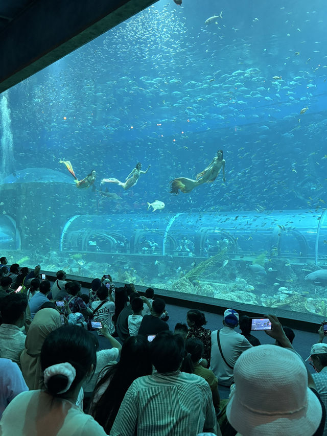 The Sea Shell-越南最大的水族館，吸睛巨型海龜造型