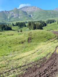 My First Horseback Riding Adventure on the Grassland