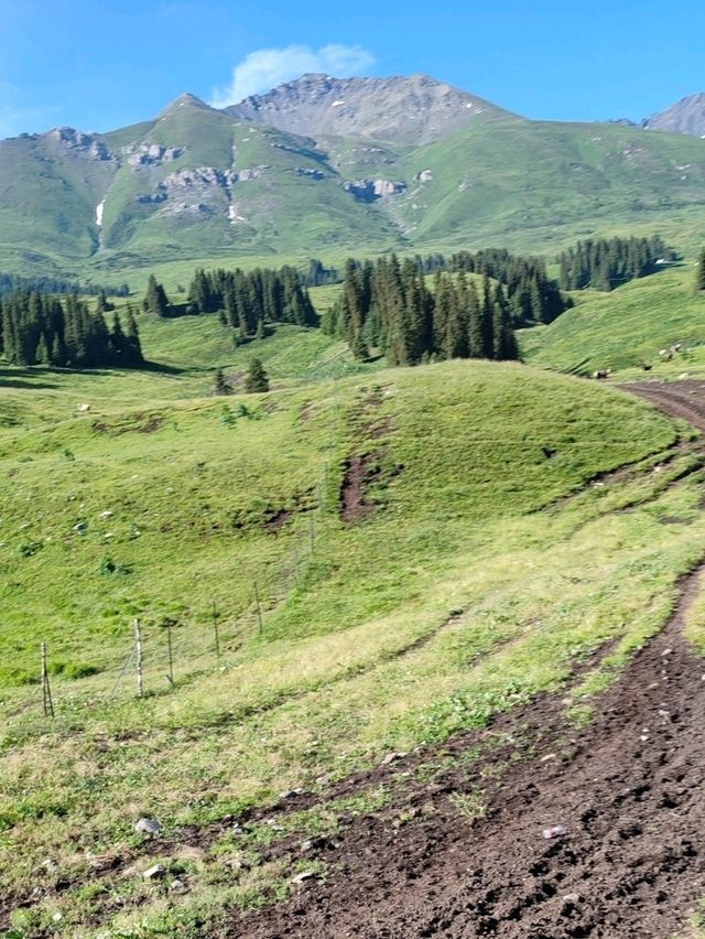 My First Horseback Riding Adventure on the Grassland