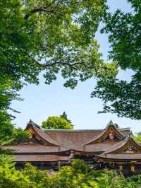 【北野天満宮】学問の神様に願いを込めて📚梅の名所で心も晴れる参拝旅