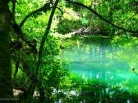 【山形】池そのものがご神体！神秘の泉「丸池様」