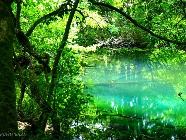【山形】池そのものがご神体！神秘の泉「丸池様」