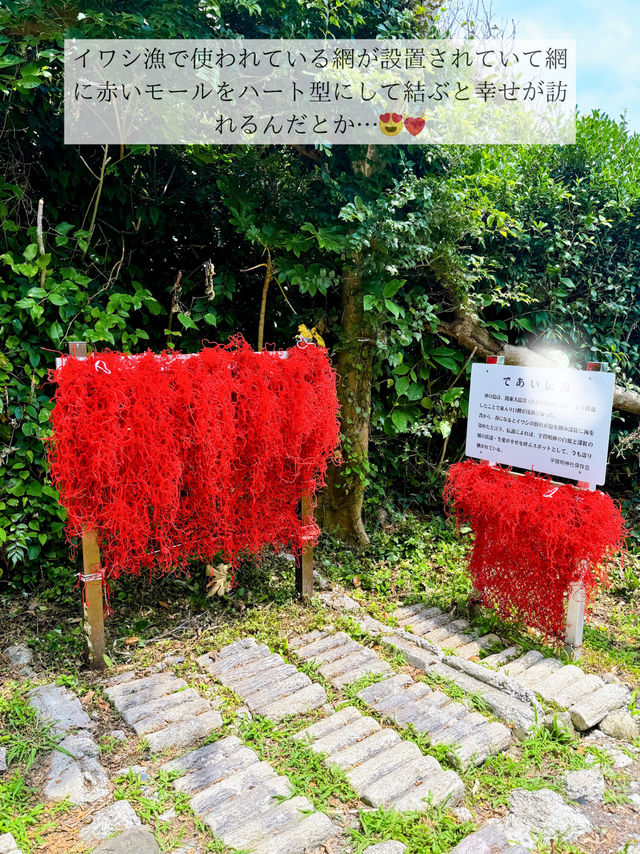 🌺超おすすめ！この夏行きたい秘密の海 in 館山市🌺