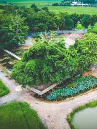 สถานที่เงียบงามที่ซ่อนตัวอยู่กลางธรรมชาติ 🍃