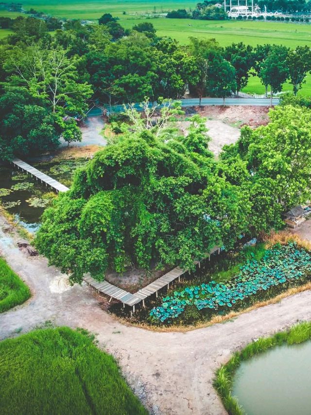 สถานที่เงียบงามที่ซ่อนตัวอยู่กลางธรรมชาติ 🍃