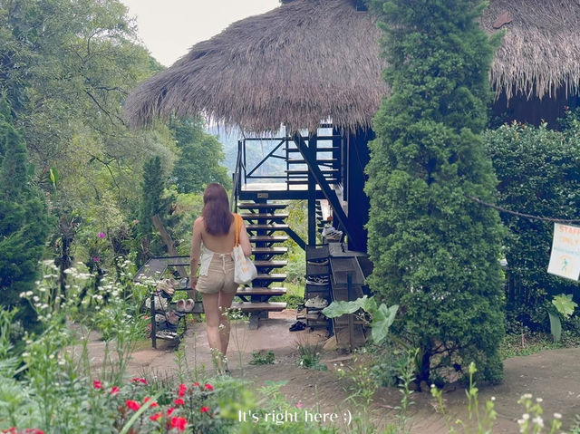 🌿 สวนคุณปู่ Life Museum คาเฟ่กลางเขา บนดอยผาหมี