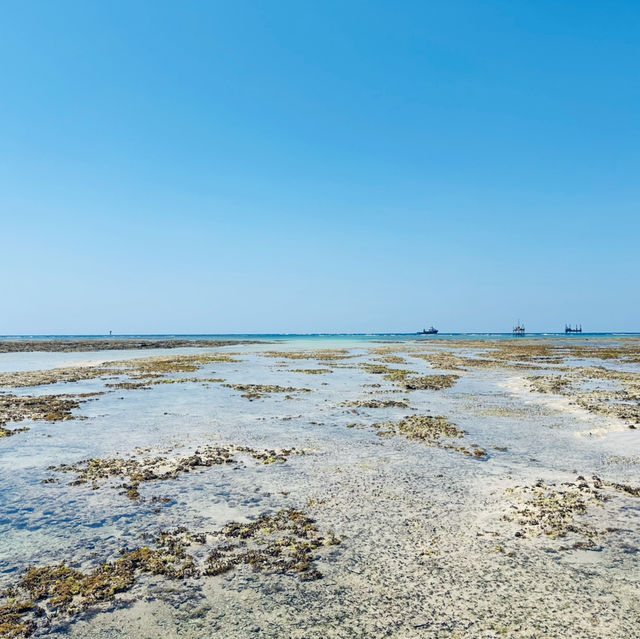 Beyond the Shops: Sea View at Parco City 🌊