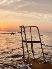 Family-Friendly Adventure on Jeju's Calm Waters