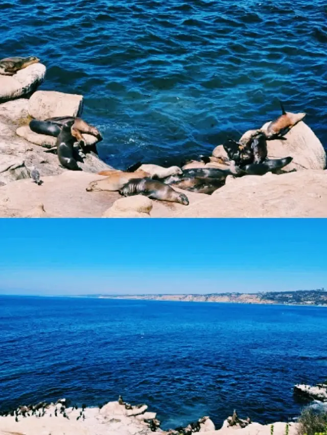 San Diego, a city where the ocean and urban life coexist perfectly.