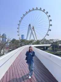 ชิงช้าสวรรค์ Oh Bay Shenzhen 🎡