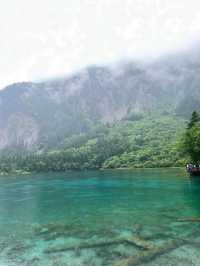 Peacock Lake in Sichuan, Nature Showing Off a Little