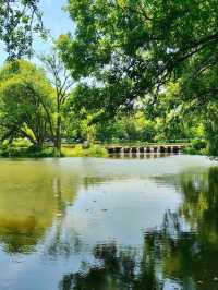 Maojiabu – West Lake’s Forgotten Waterworld