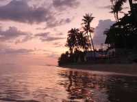 Island Of The Triple Moon: Jungle Sancutries, Techno Temples And Bioluminescent Baptisms