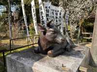 犬山 | 針綱神社，濃尾地區千年以來的守護神