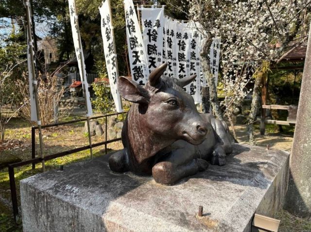 犬山 | 針綱神社，濃尾地區千年以來的守護神