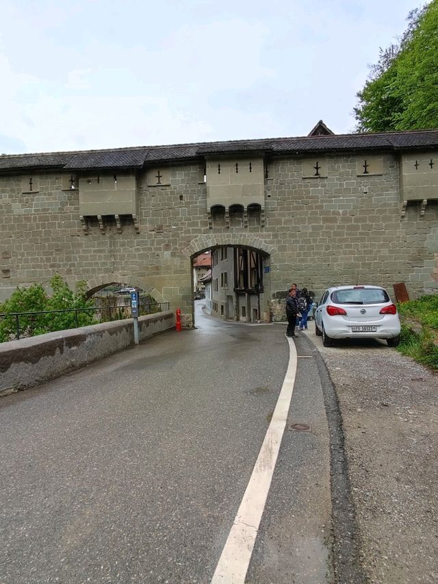 🏰Fribourg, Where Culture Meets Nature🏞️