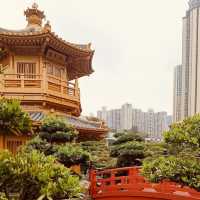 🌿✨ Escape to Tranquility: Discover Nan Lian Garden – Hong Kong’s Hidden Oasis! ✨🌿
