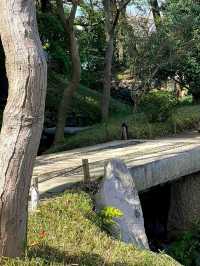 Quiet Moments at Koishikawa Korakuen Garden – Tokyo