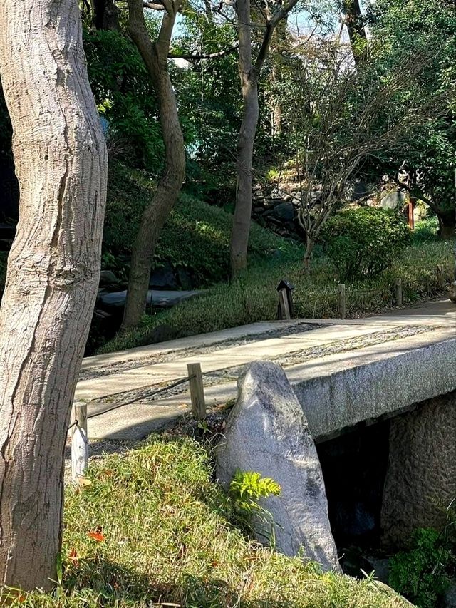 Quiet Moments at Koishikawa Korakuen Garden – Tokyo