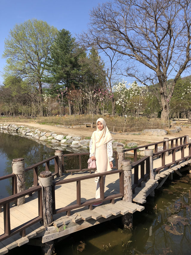 Summer Escape to Nami Island