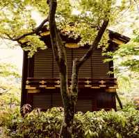 🌿🏯 *Sorakuen Garden (相楽園): Kobe’s Hidden Edo-Meiji Oasis* 🎋🌸