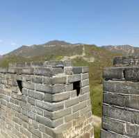 The Great Wall's Green Heart: Discovering Mutianyu's Wild Beauty