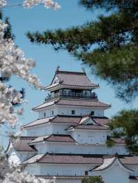 🏞️Fukushima Hidden Gem – Nature & Nostalgia on a Budget!