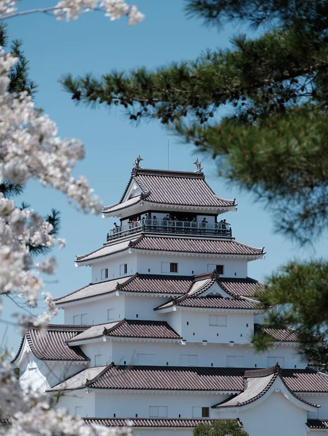 🏞️Fukushima Hidden Gem – Nature & Nostalgia on a Budget!