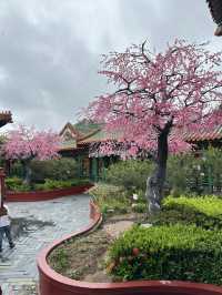 new yuanming palace zhuhai