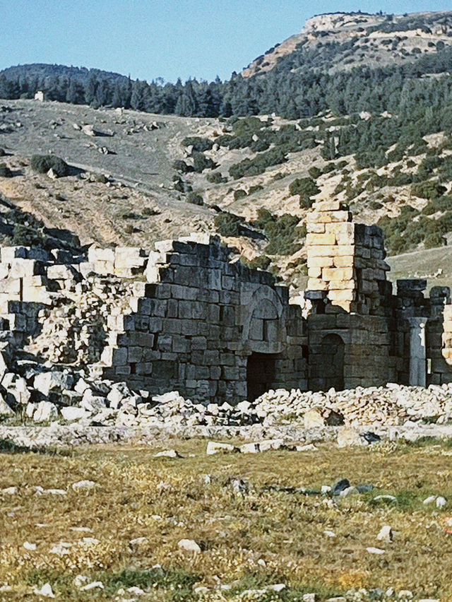 Soaking in Ancient Beauty 