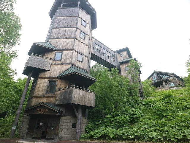 木香滿溢的童趣森林小屋!瀧野鈴蘭公園親子秘境 木香滿溢的童趣森林小屋!瀧野鈴蘭公園親子秘境