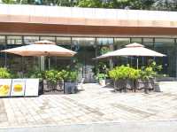 深圳｜香蜜公園