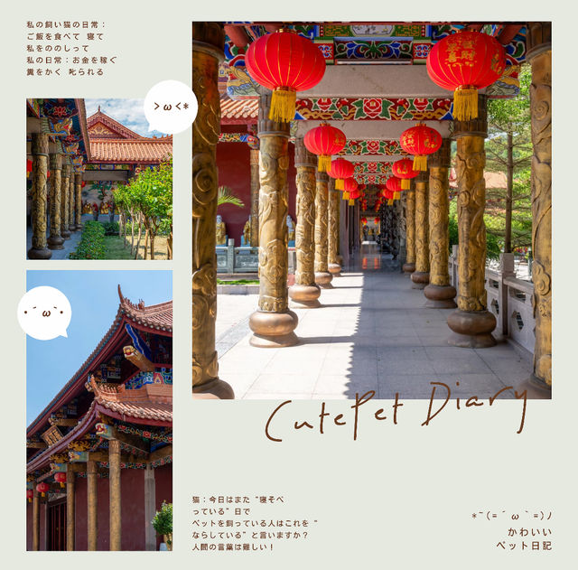 回龍寺—紅牆金龍的絕美光影