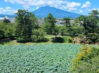 Aomori & Hiroseki 2 Day Trip