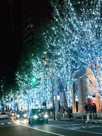 🎄Roppongi Hills Christmas Night Trip 🎅✨