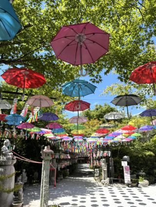 【후쿠오카】여름의 풍물시 풍경과 다채로운 우산
