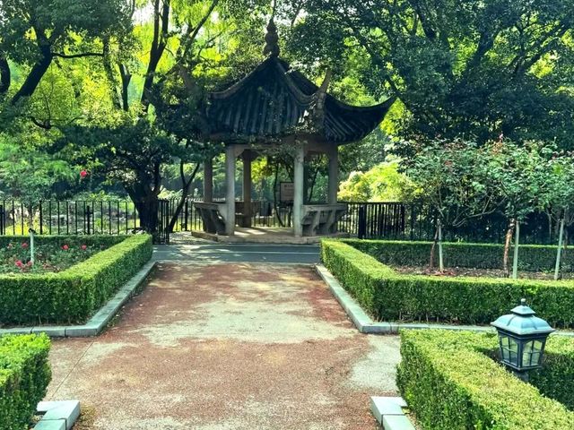Relaxing Stroll at Zhongshan Park Shanghai
