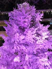 ✨ 丸の内クリスマス記録と2025 予測: 花と光の饗宴からマリオと共に彩る冬へ