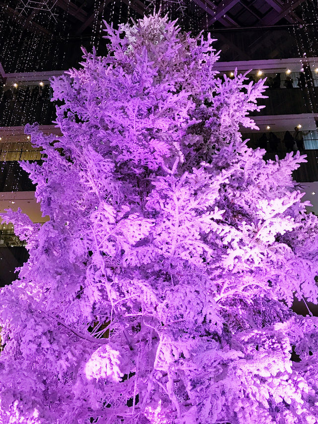 ✨ 丸の内クリスマス記録と2025 予測: 花と光の饗宴からマリオと共に彩る冬へ