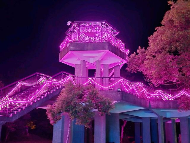花蓮｜鯉魚潭光影美景〔仲夏水岸光影節〕