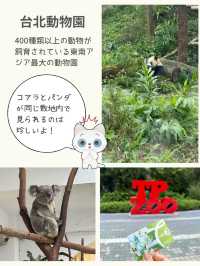 【台湾】観光にとても便利なfun passを使って楽しむ方法！