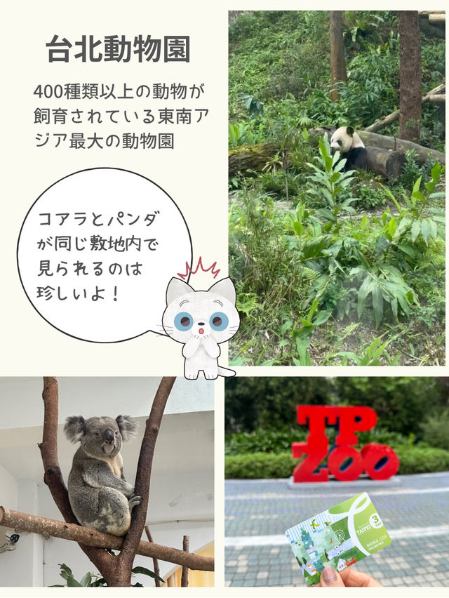 【台湾】観光にとても便利なfun passを使って楽しむ方法！