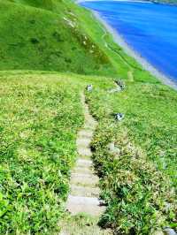 夏の礼文島で花と海と緑の絶景トレッキング
