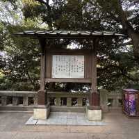 The Vermilion Threshold: Zuishinmon Gate of Enoshima Shrine ⛩️