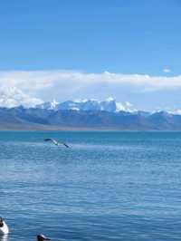 Off the Beaten Path: The Untouched Beauty of Namtso Lake