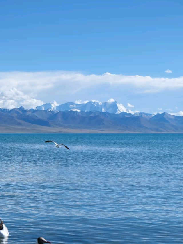 Off the Beaten Path: The Untouched Beauty of Namtso Lake